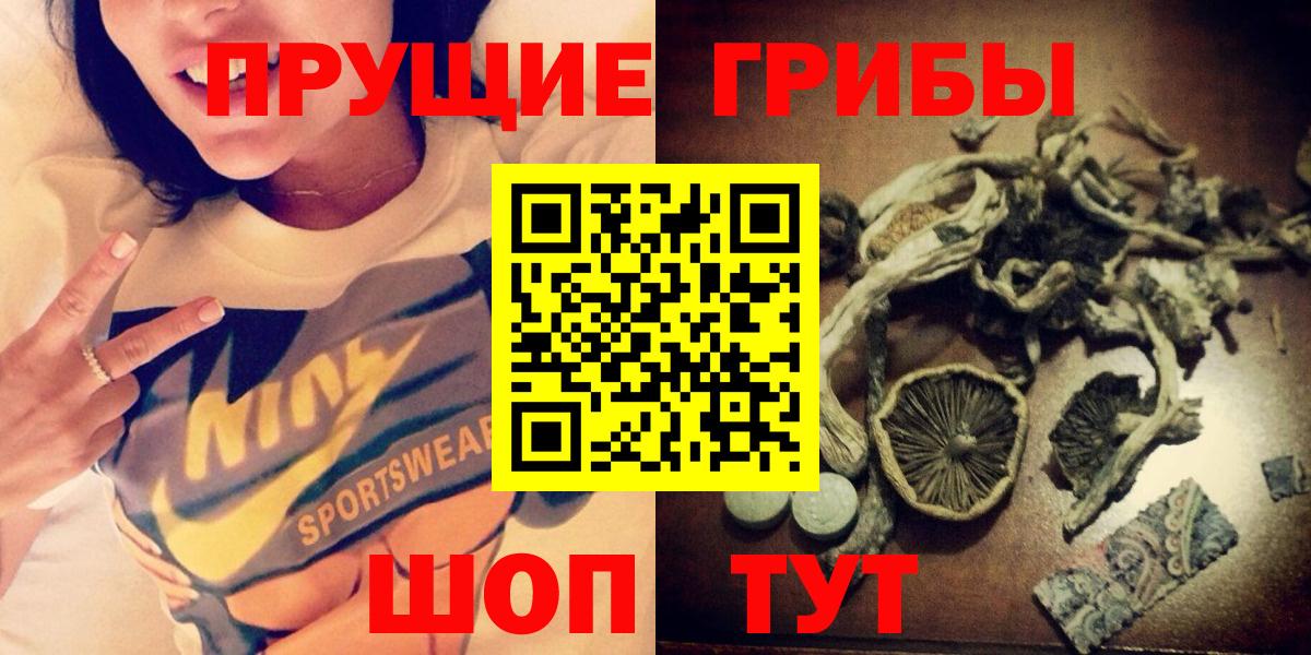 Галлюциногенные грибы Psilocybe  дарнет шоп  Анжеро-Судженск  Вход с VPN 